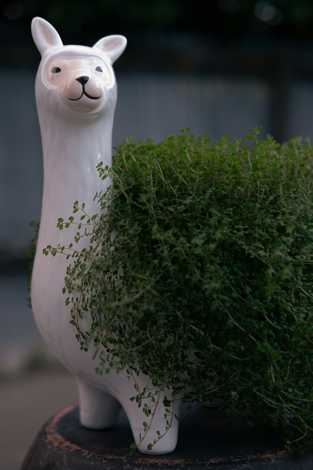 white ceramic owl figurine on green grass