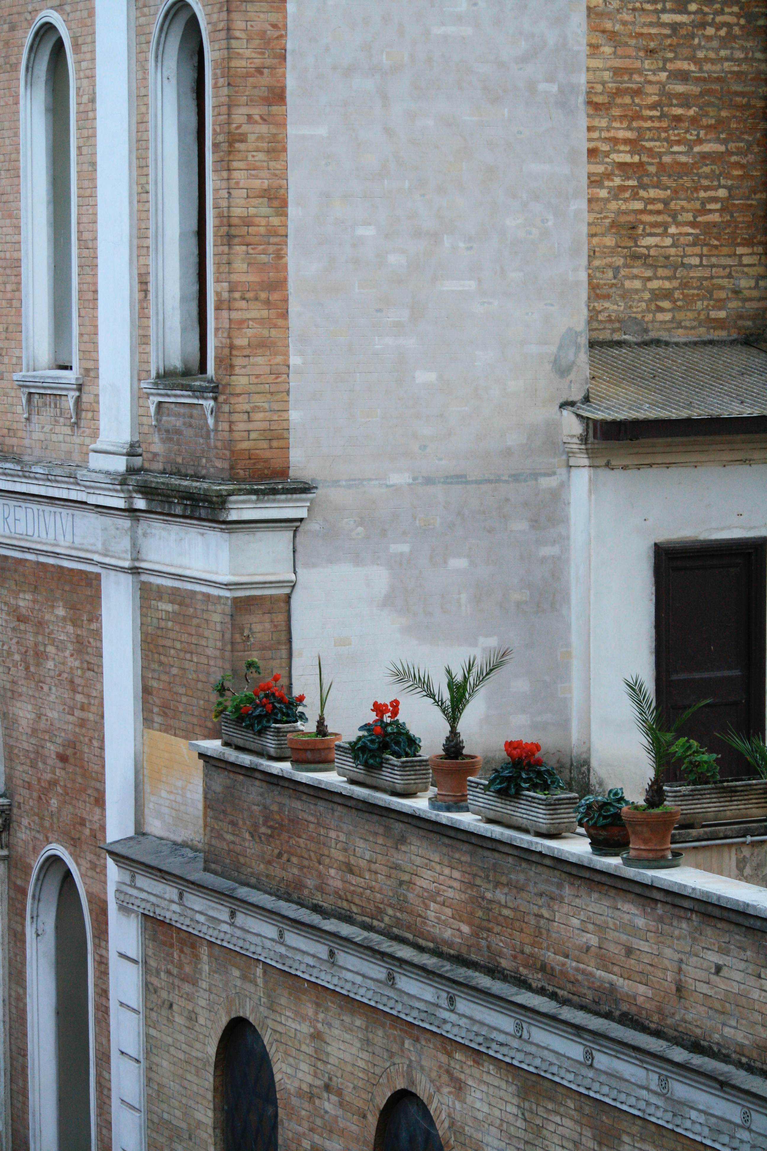 green potted plant on brown concrete building