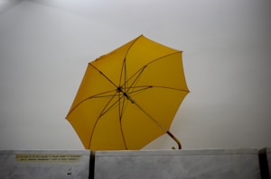স্টাইলিশ ছাতা