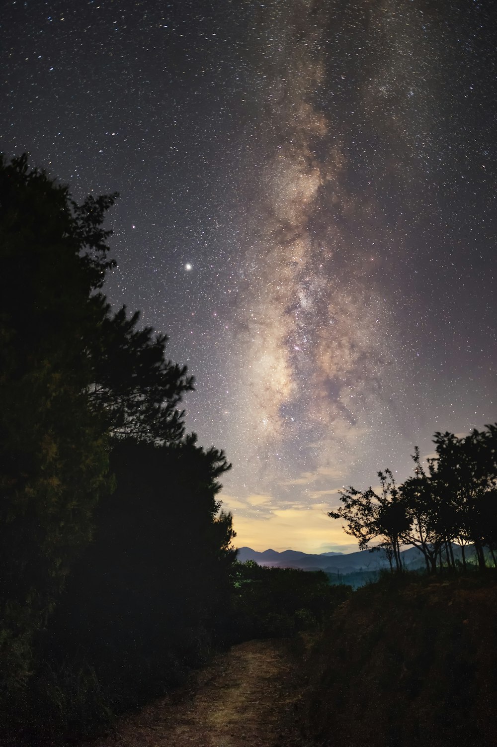 green trees under starry night