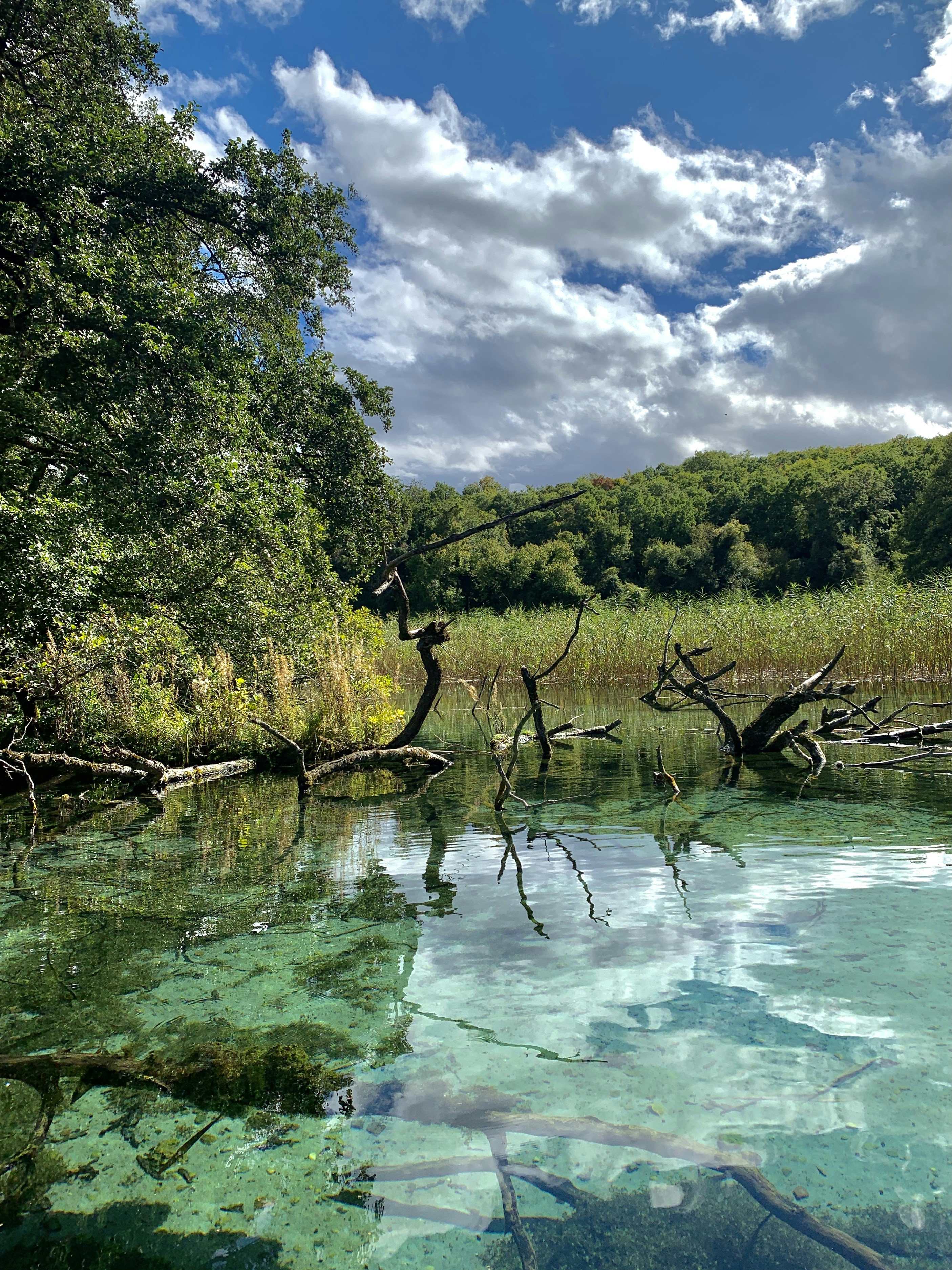 Photo by shpetimujkani