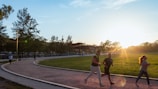 people playing basketball on green grass field during daytime