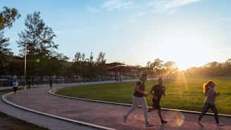 people playing basketball on green grass field during daytime