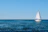 white sailboat on sea under blue sky during daytime