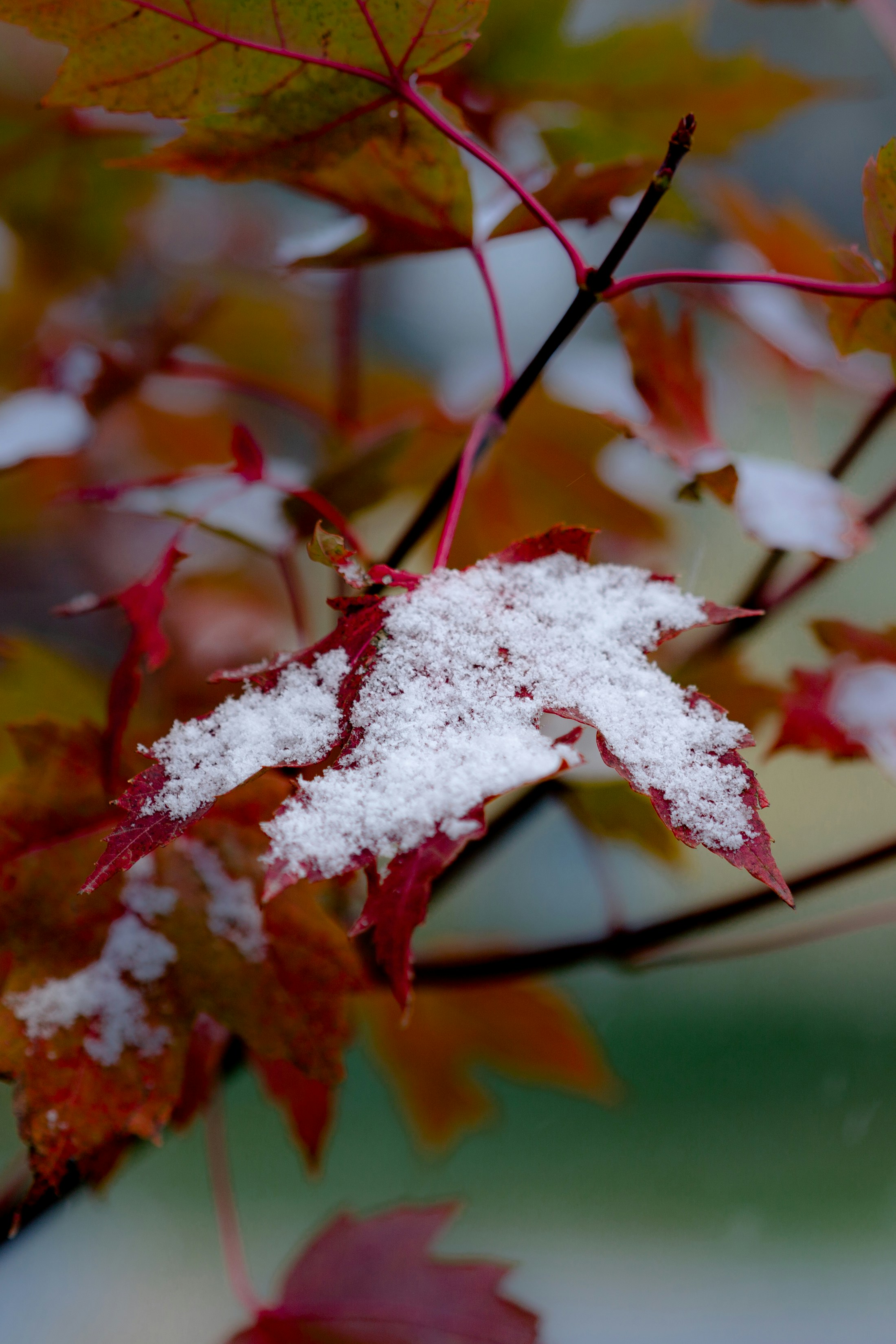 Photo by solenfeyissa