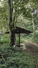 A tranquil forest scene with lush greenery and a pathway leading into the dense woods. A simple wooden bench under a shelter is situated beside a tall tree, providing a resting spot amidst the serene natural environment.