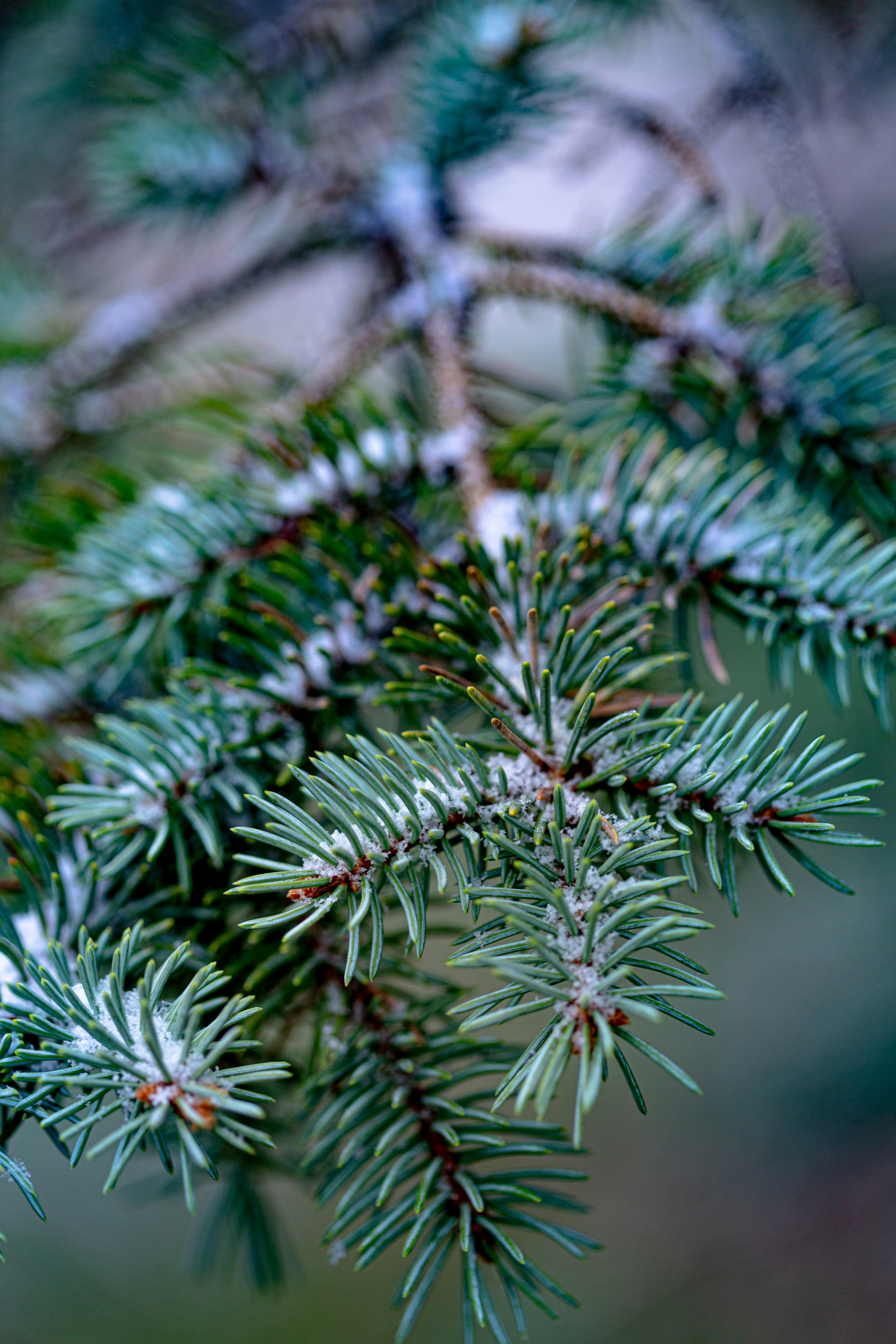 Photo by solenfeyissa