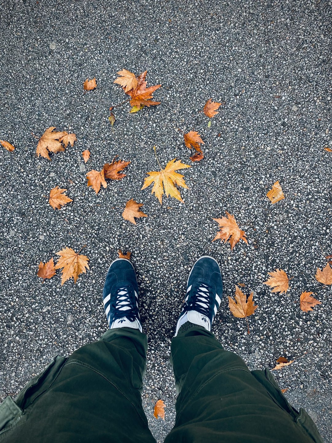 person in black pants and black and white adidas sneakers standing on dried leaves