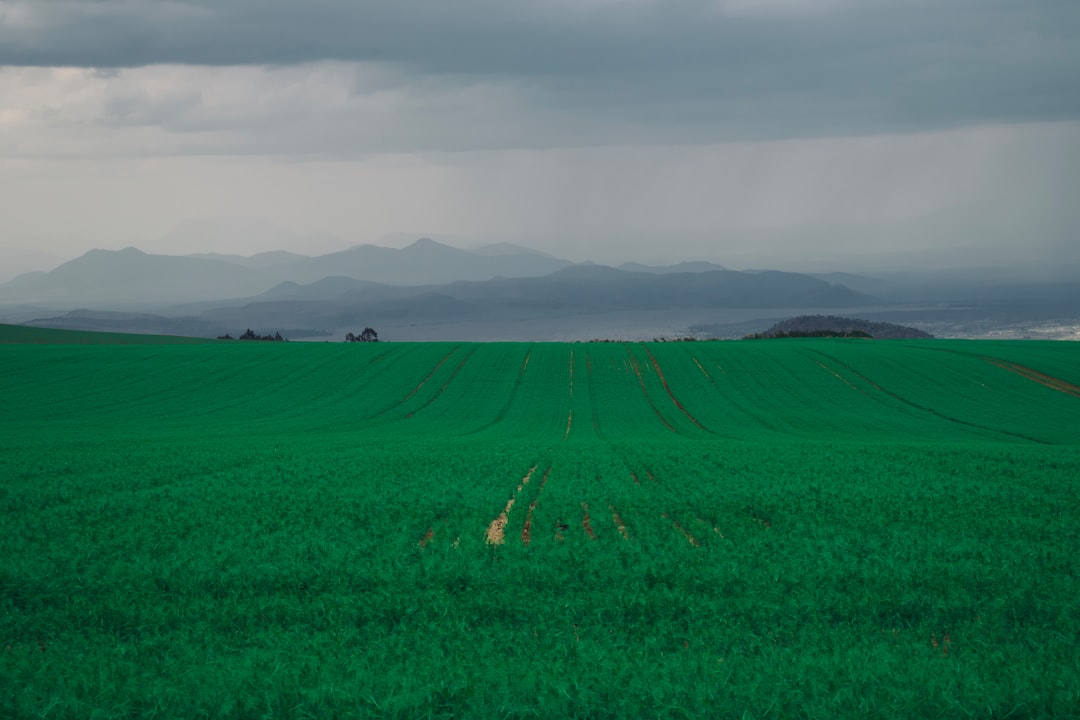 Plain photo spot Timau Isiolo