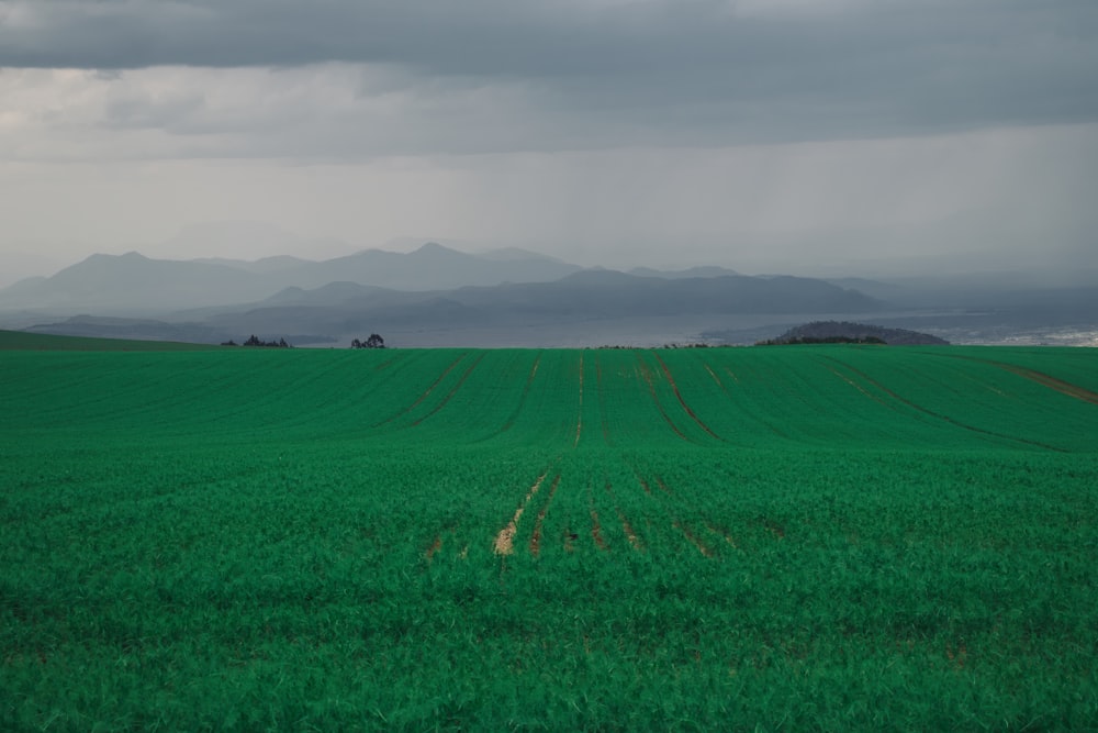 green grass field under cloudy sky during daytime