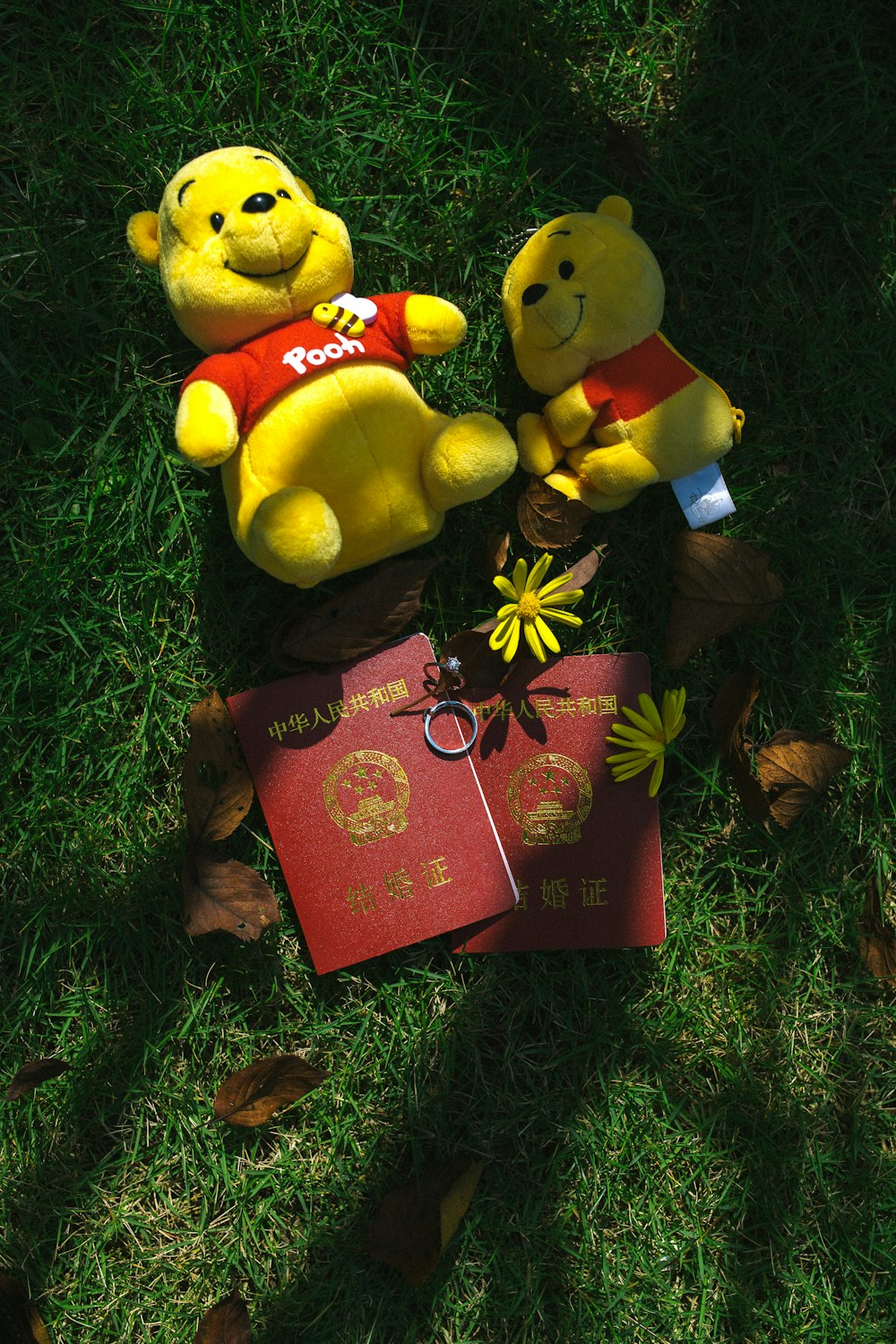 winnie the pooh plush toy on red book