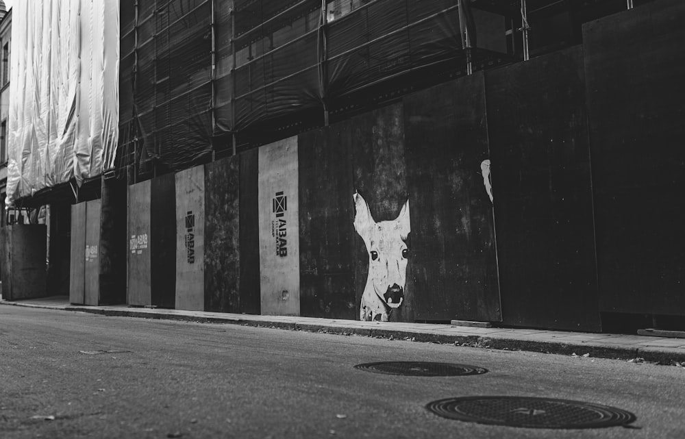 grayscale photo of horse on road