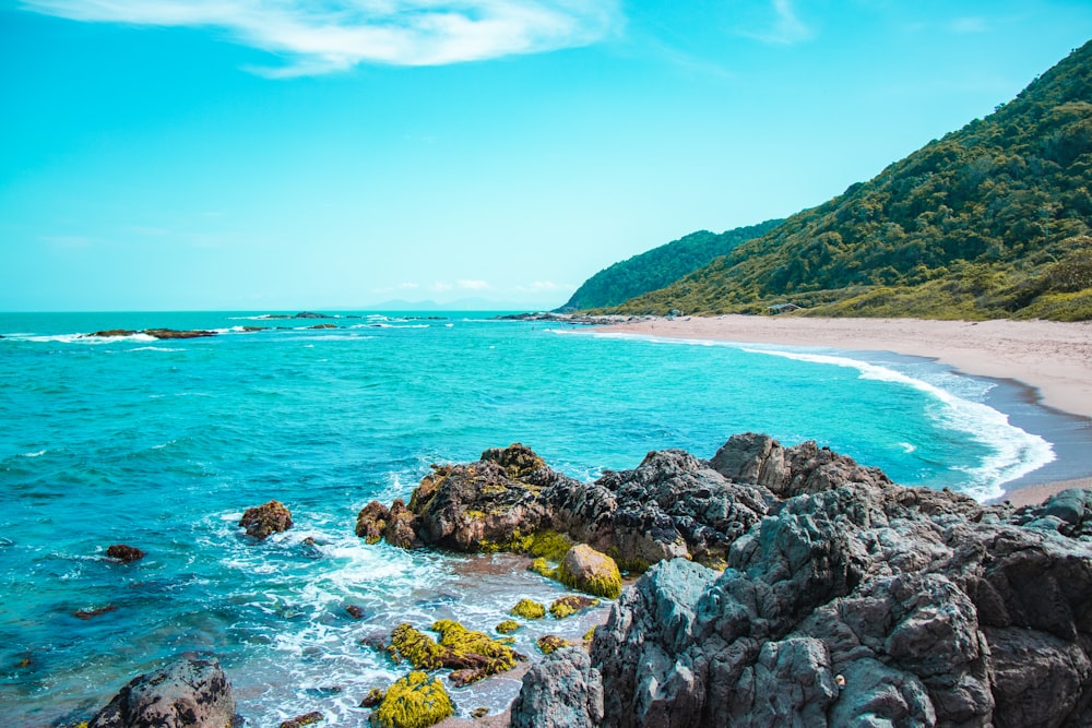 formação rochosa marrom e verde no mar sob o céu azul durante o dia