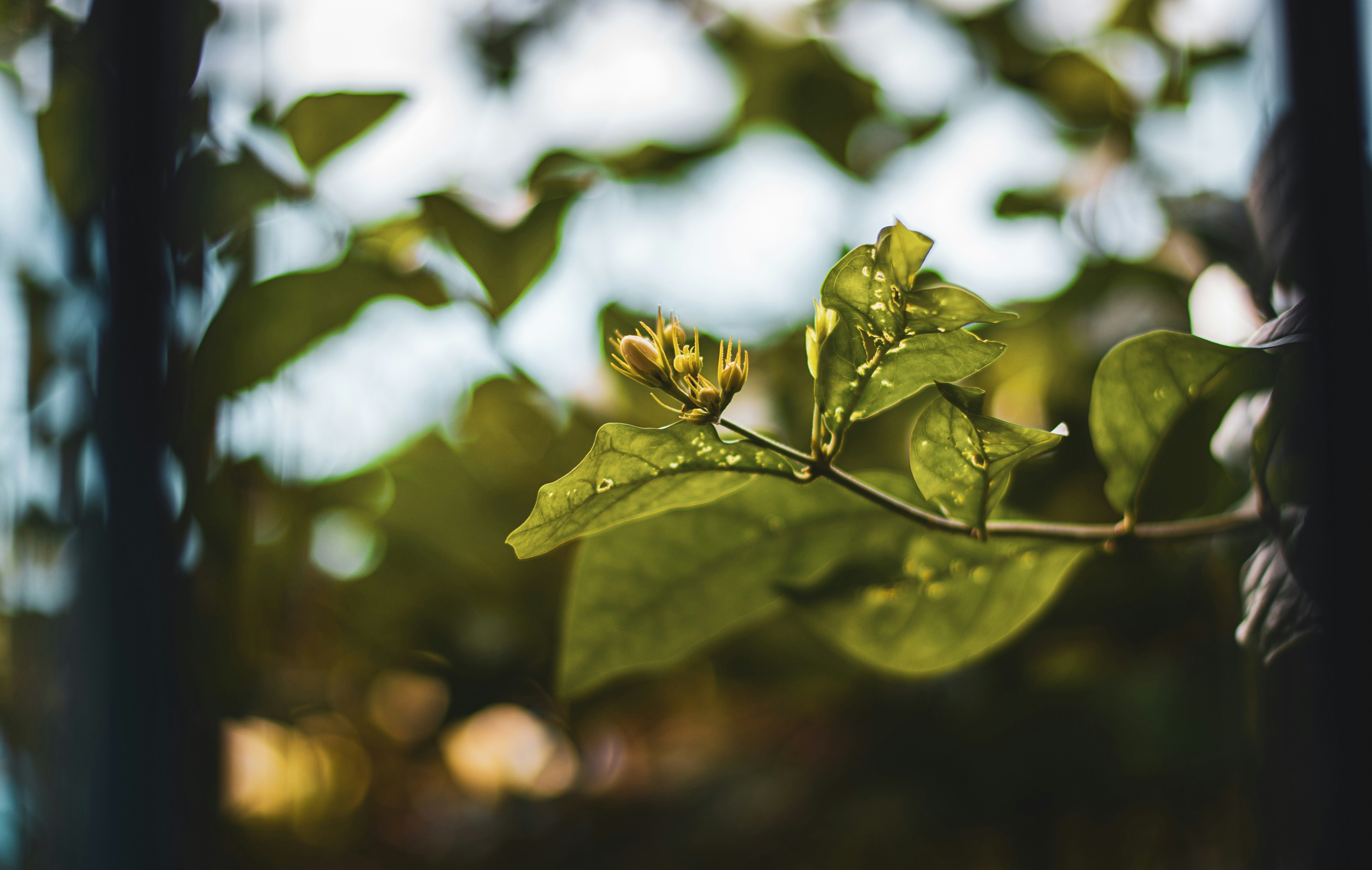 Photo by glennvillas