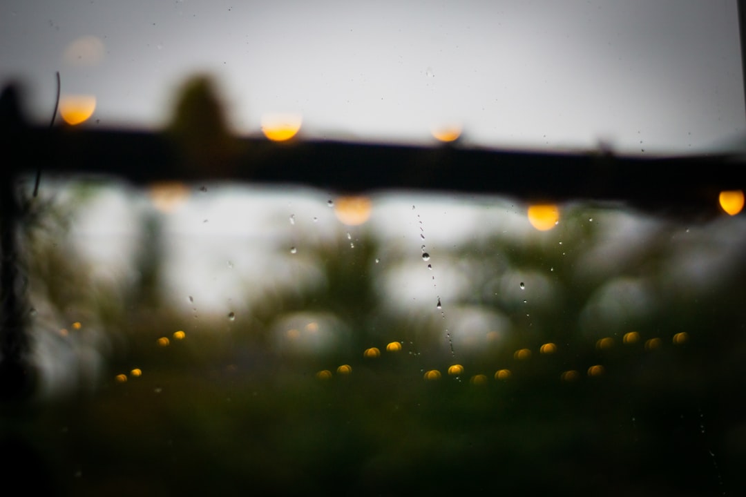 water droplets on brown wooden fence during daytime