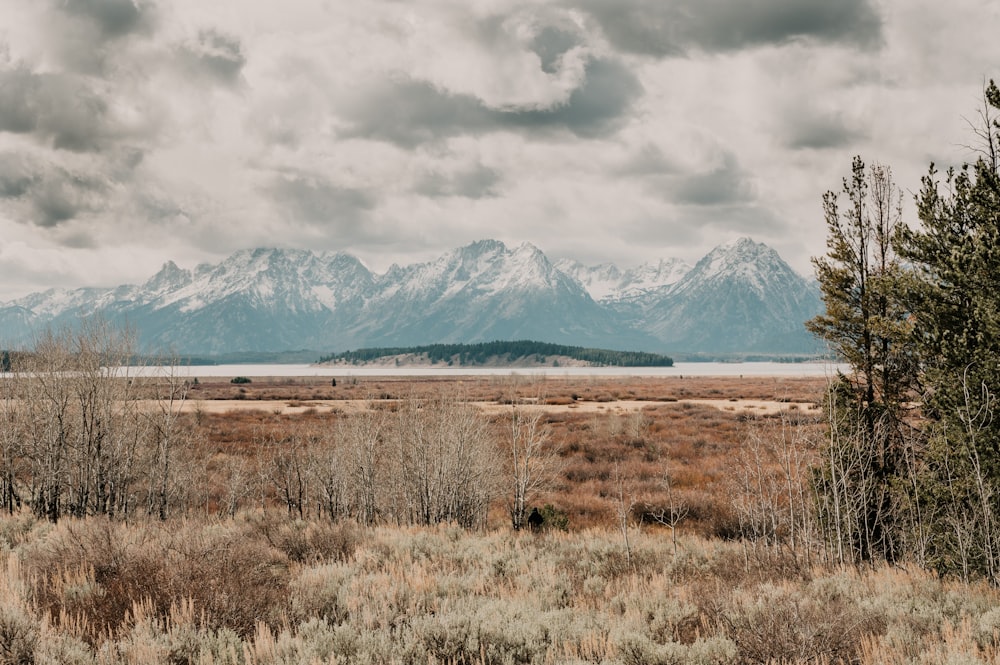 brown grass field near snow covered mountain during daytime