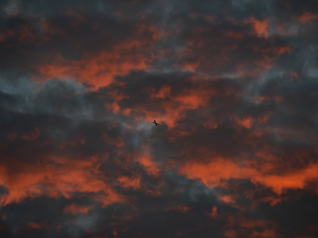 airplane flying in the sky during daytime