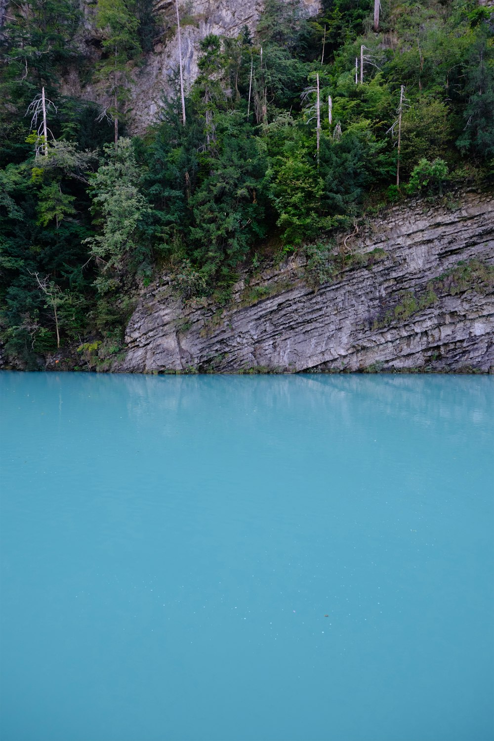 specchio d'acqua verde vicino agli alberi verdi durante il giorno