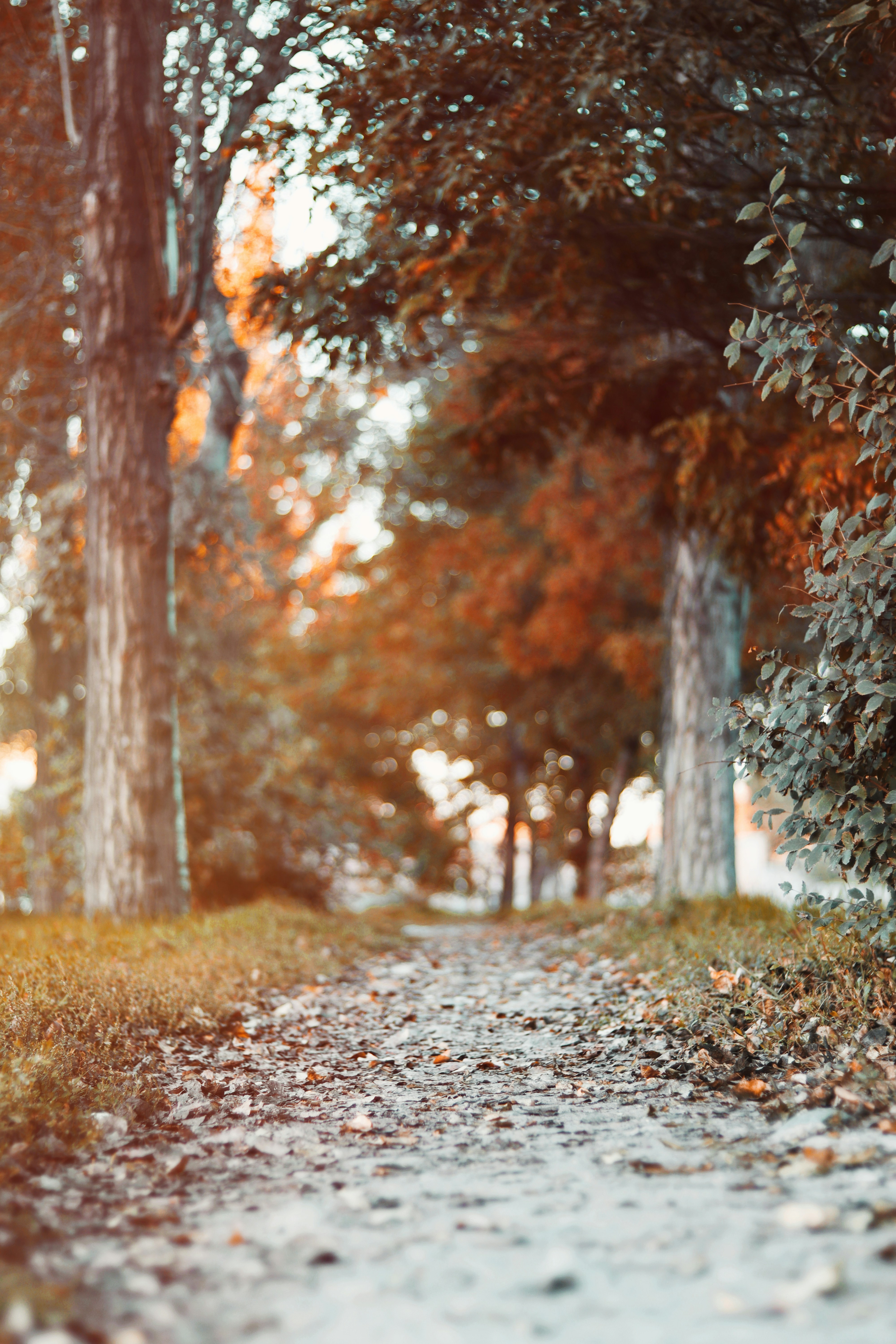 Photo by habibdadkhah