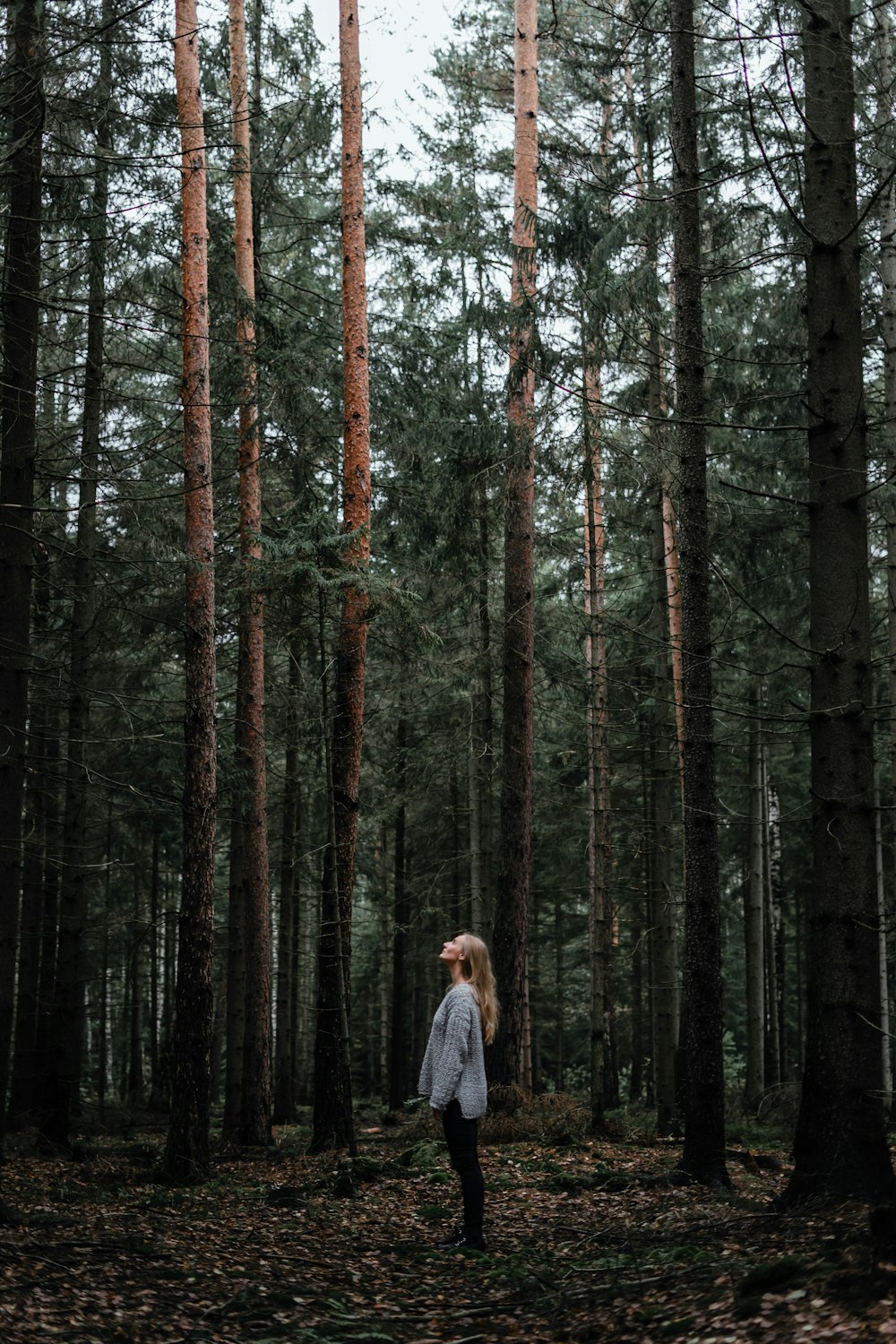 woman in gray coat standing in the middle of the forest