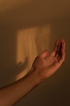 A warm hand extended in invitation against a backdrop of natural light filtering through trees.