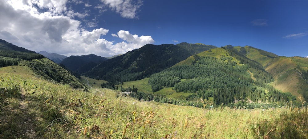 green grass field and mountain under blue sky during daytime