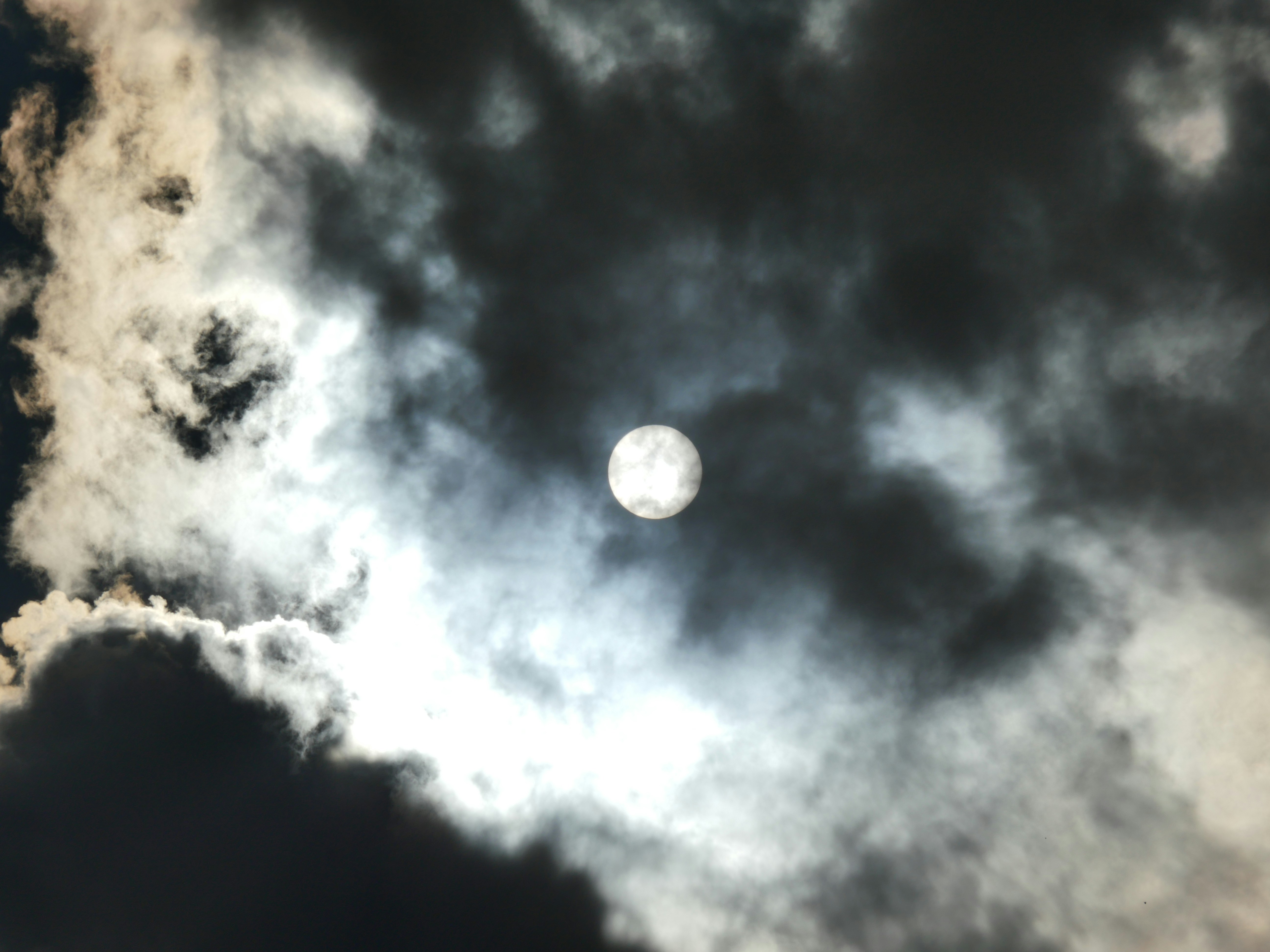 Photo by nimbus_vulpis