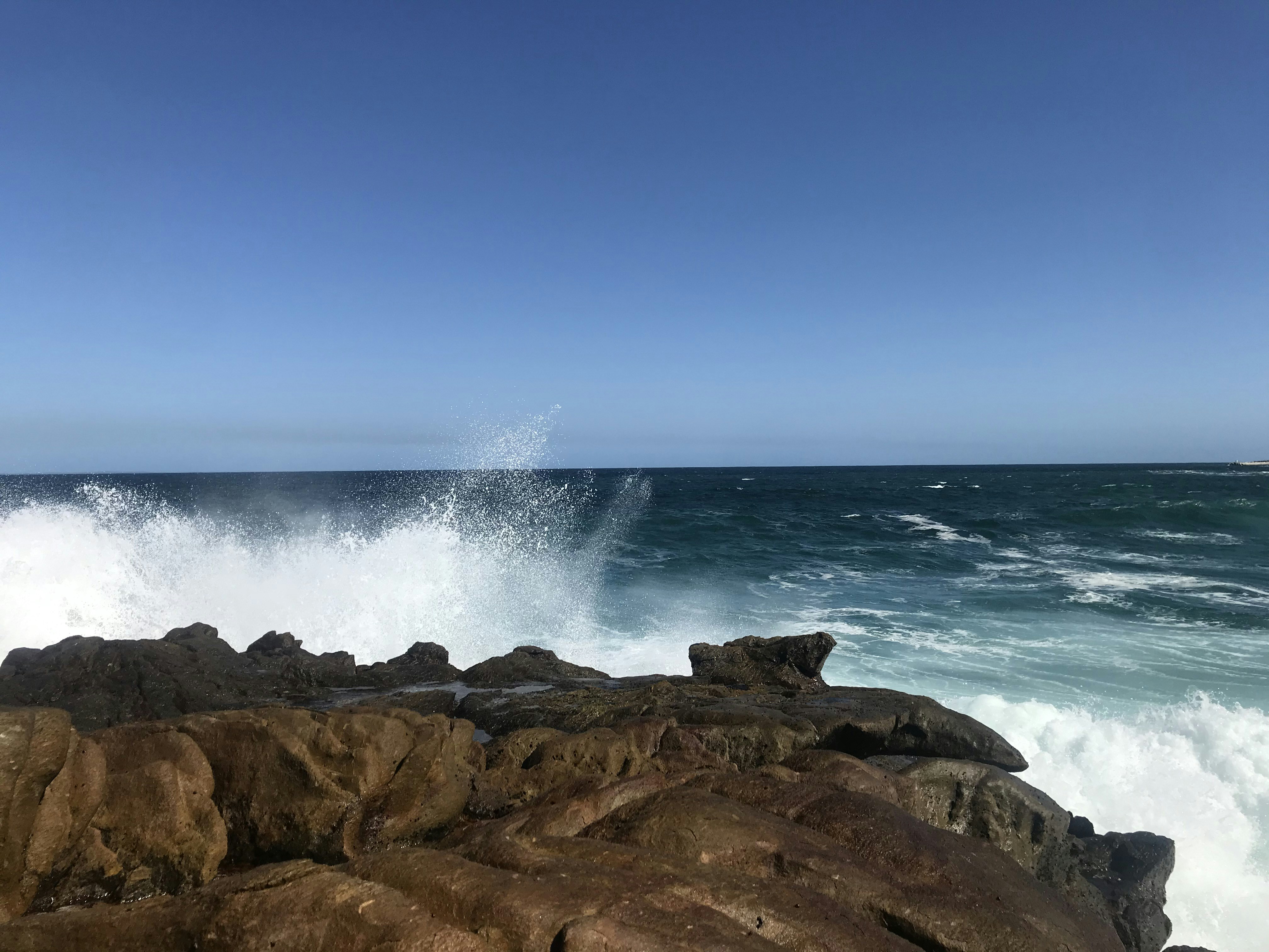 Hermanus – Activities & Attractions