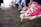 A close-up of worn, red canvas sneakers with white soles and laces on the feet of a child, suspended above the ground. In the background, several people are sitting on chairs arranged in a row, with their legs and feet clearly visible. The ground is dirt and there is a slightly blurred green and beige structure in the distance.