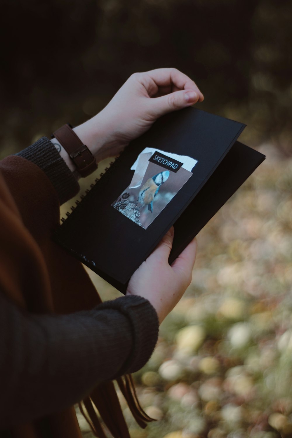 person holding black and white book