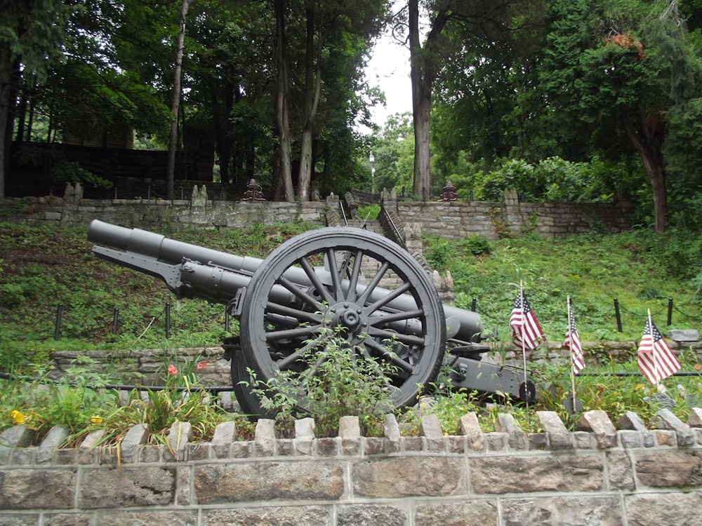 black canon on green grass field near green trees during daytime