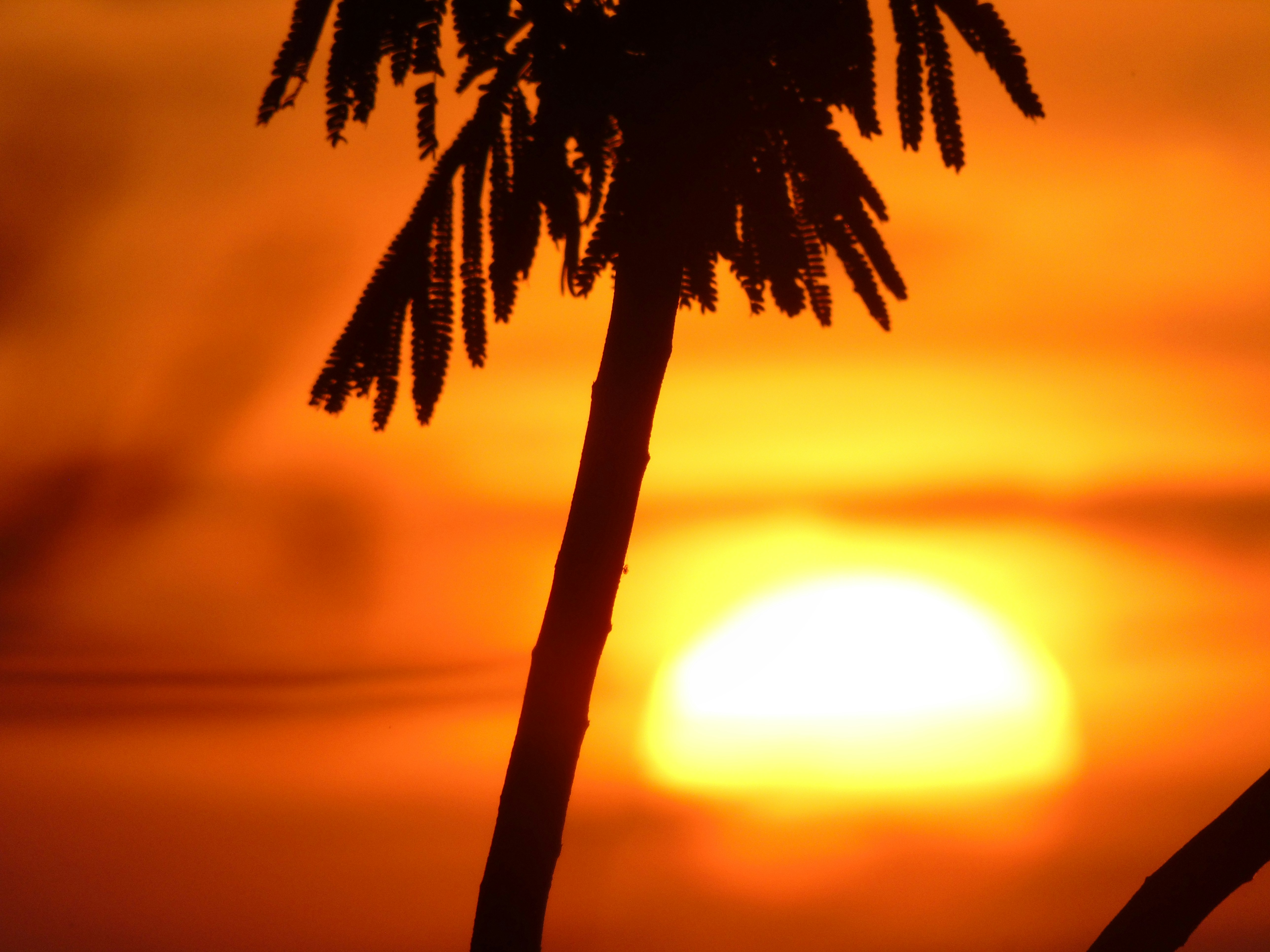 Photo by anielecastro