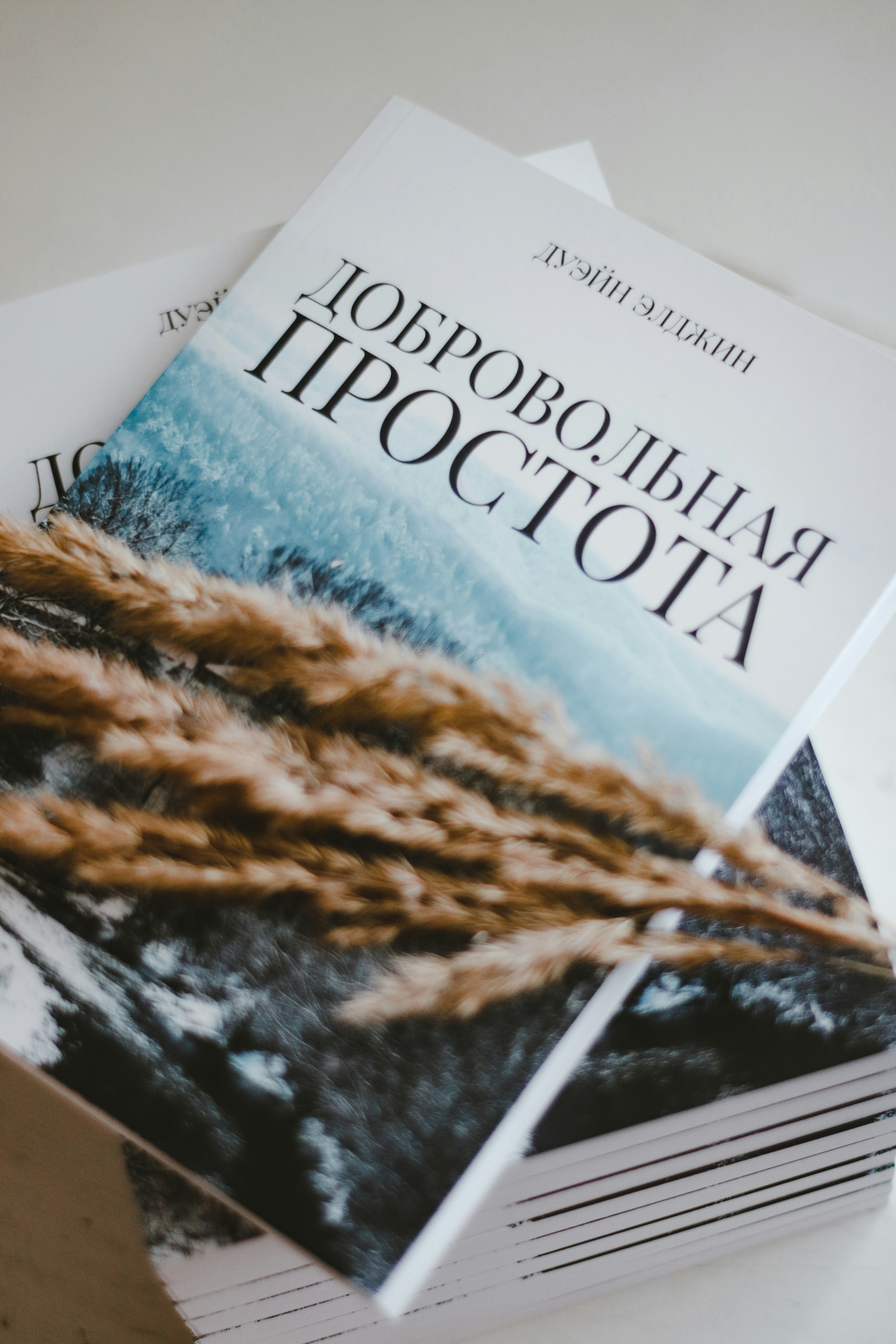 book digital minimalism