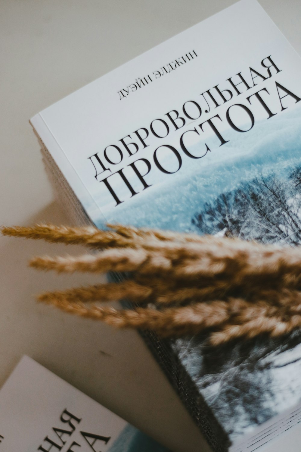 white and blue book on white table