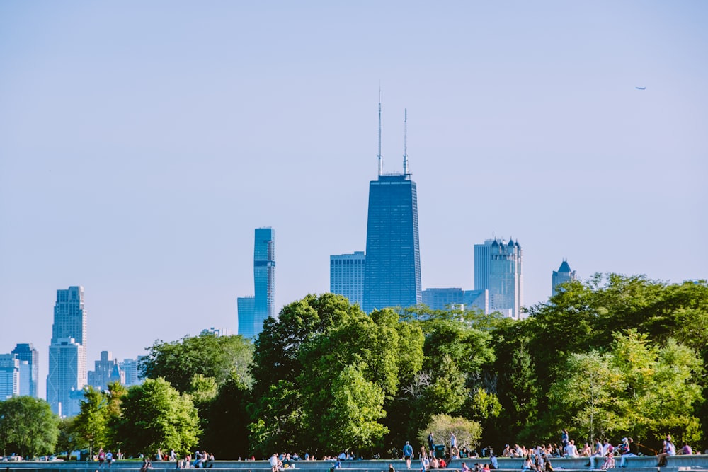 green trees near city buildings during daytime