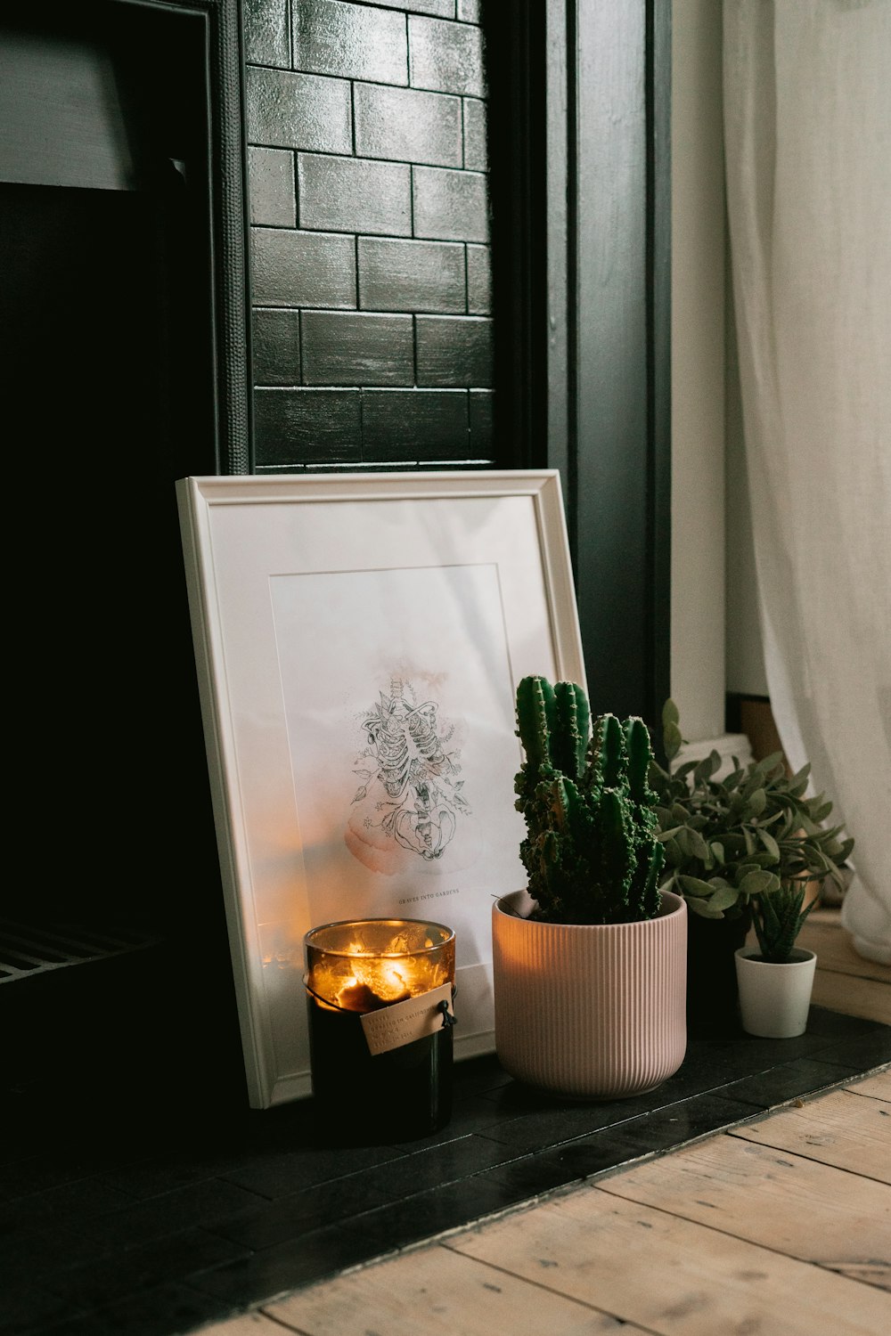 green cactus plant on white wooden table