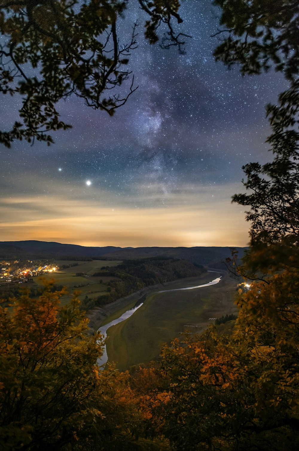 green trees near body of water during night time