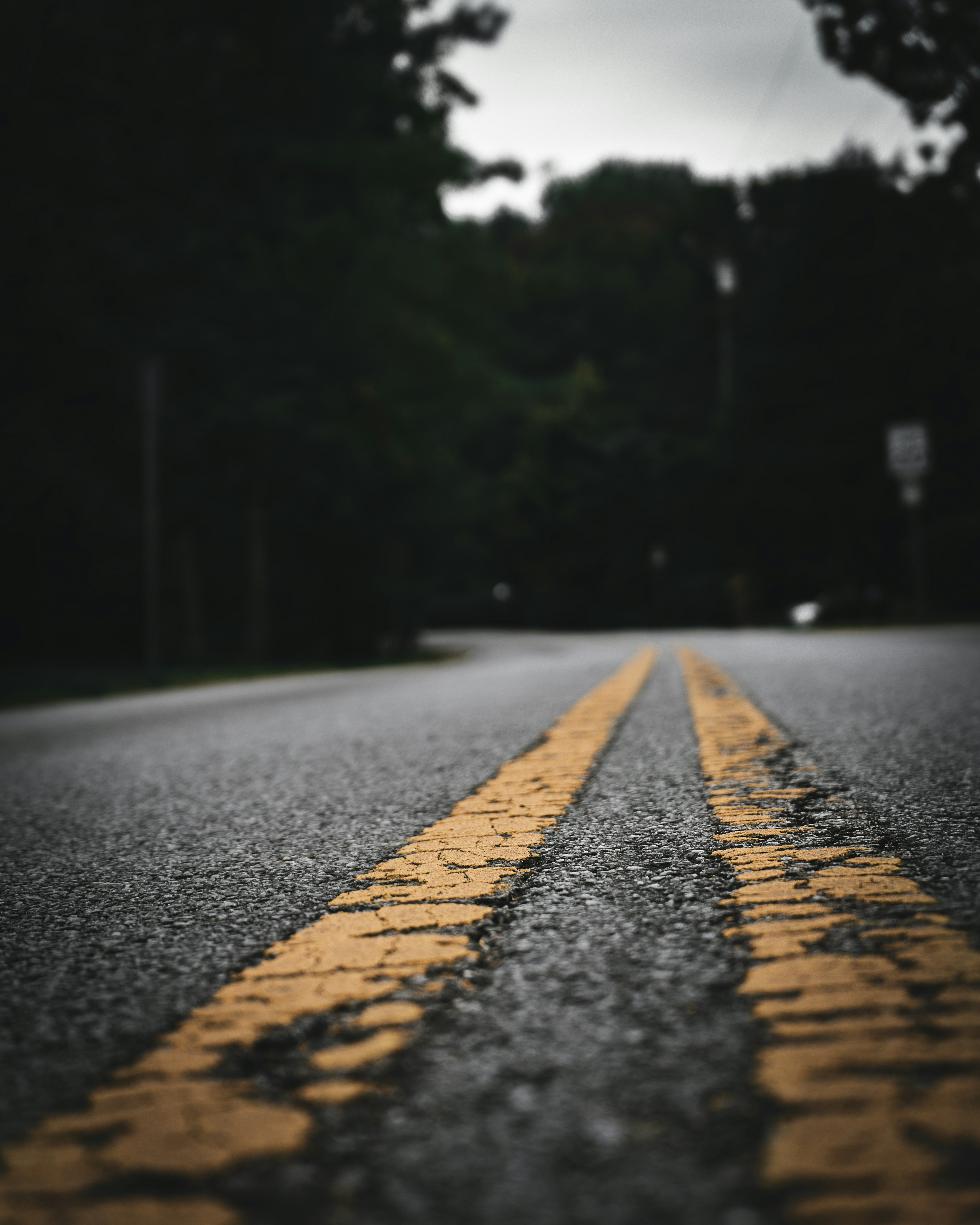 Photo by ethangarvey