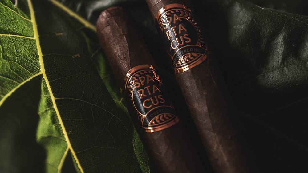 two cigars sitting on top of a green leaf