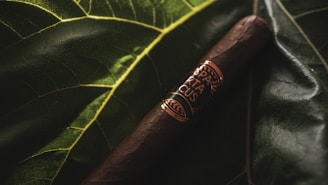 A dark brown cigar with a gold and black band is laid against large, textured green leaves. The lighting casts dramatic shadows, highlighting the veins and texture of the leaves.