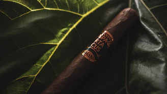 A dark brown cigar with a gold and black band is laid against large, textured green leaves. The lighting casts dramatic shadows, highlighting the veins and texture of the leaves.