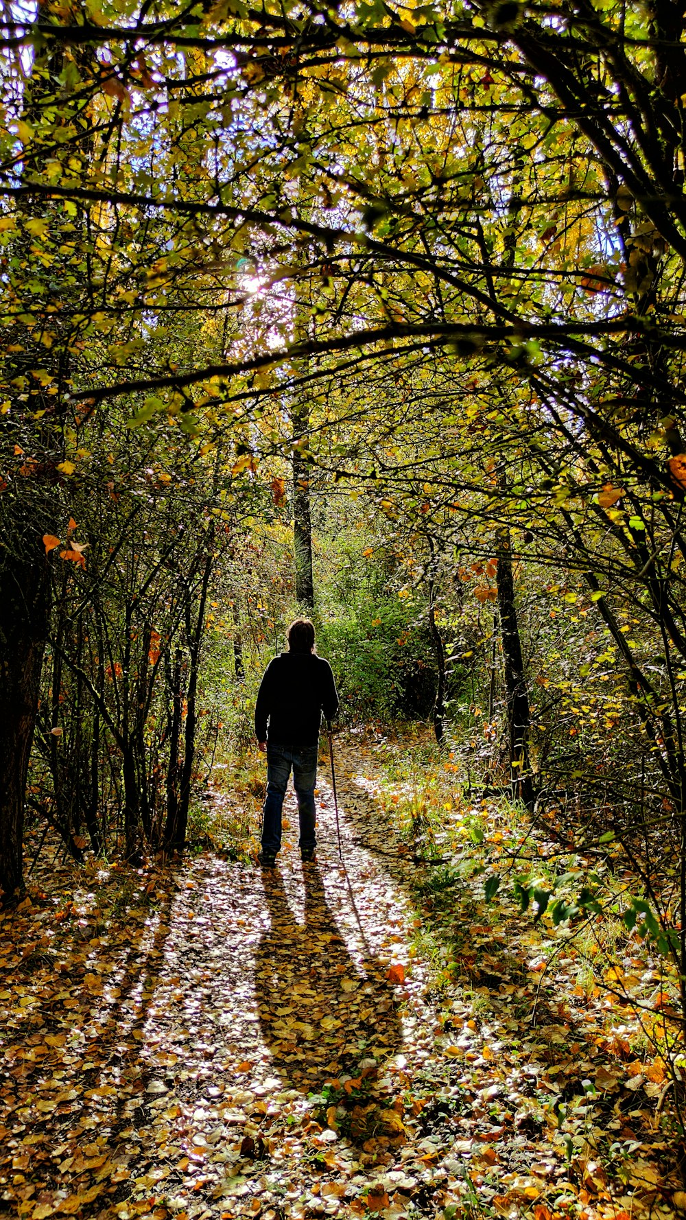 man in black jacket walking on pathway between trees during daytime
