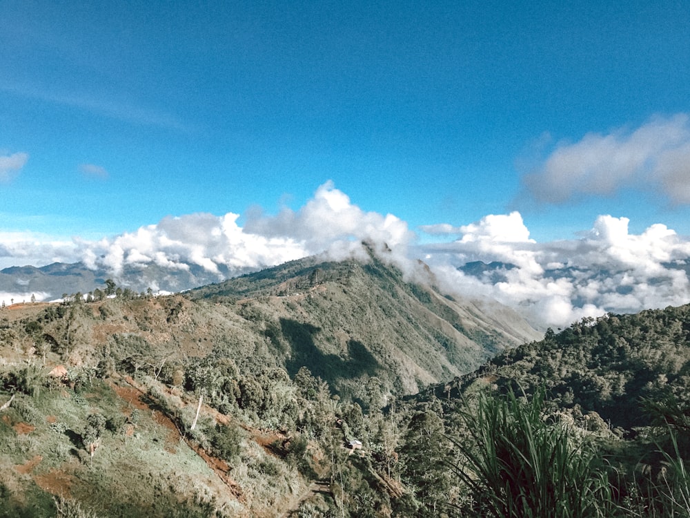 Montaña verde y marrón bajo el cielo azul durante el día