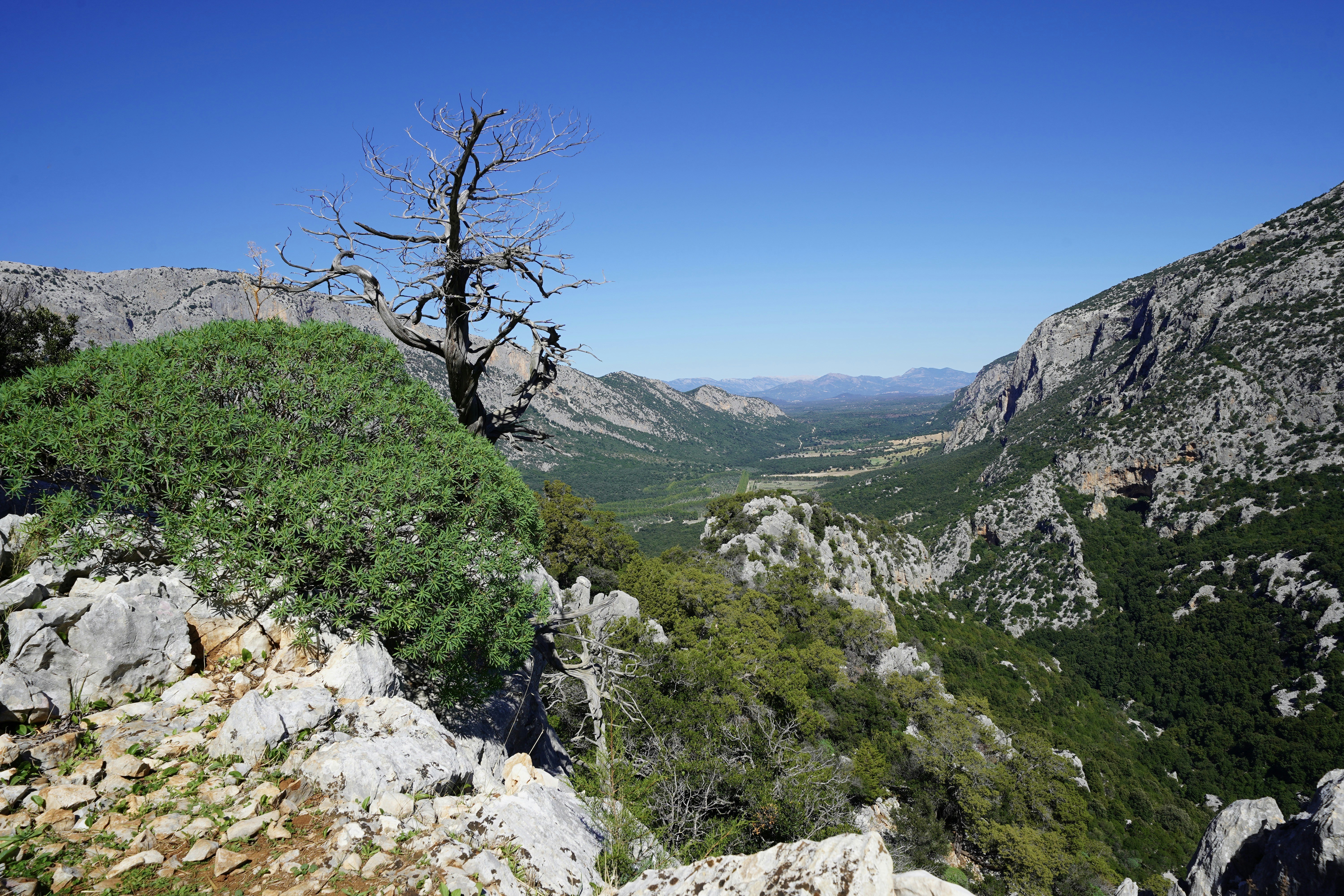 Photo by sardinien_blog