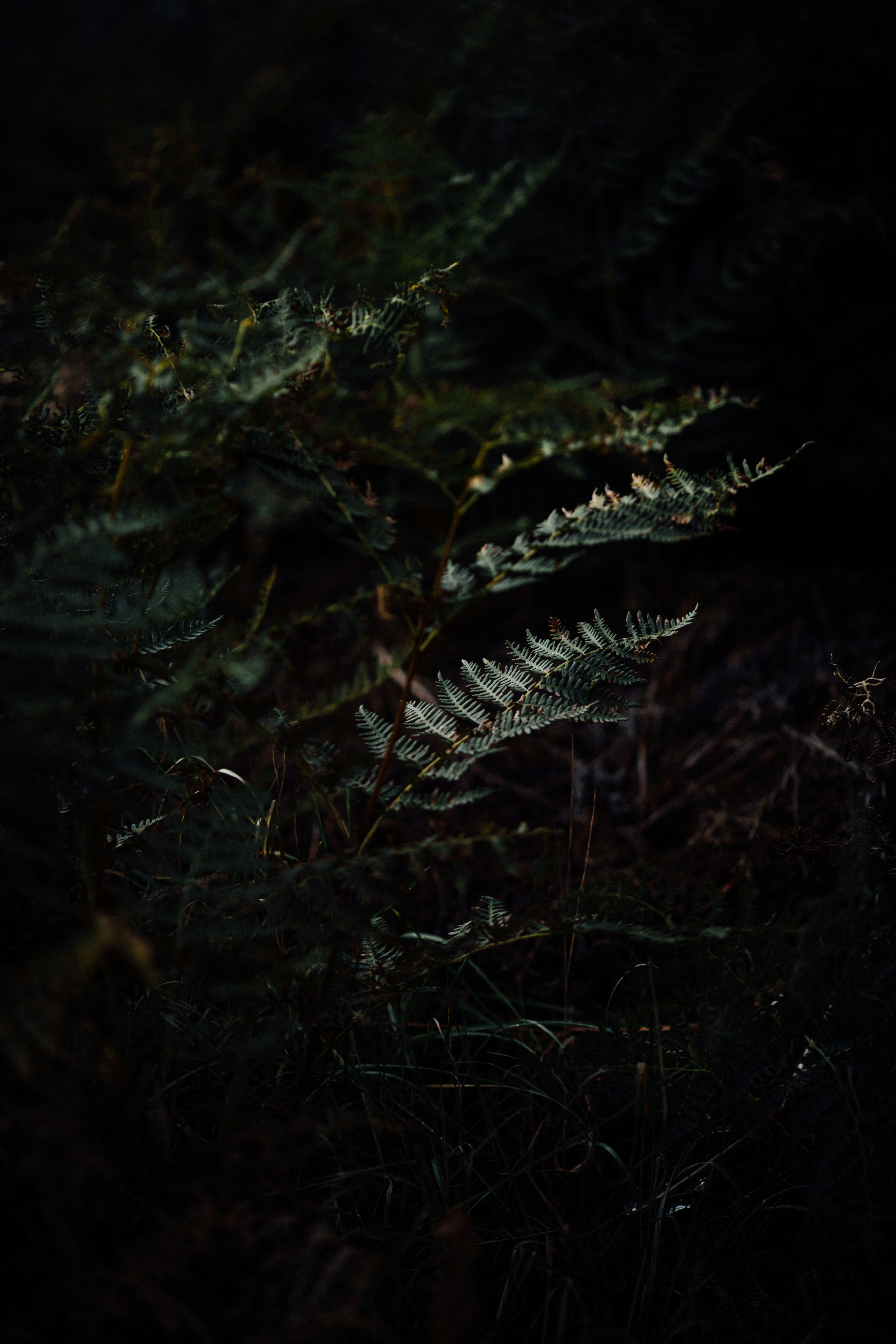 woman wearing yellow long-sleeved dress under white clouds and blue sky during daytime