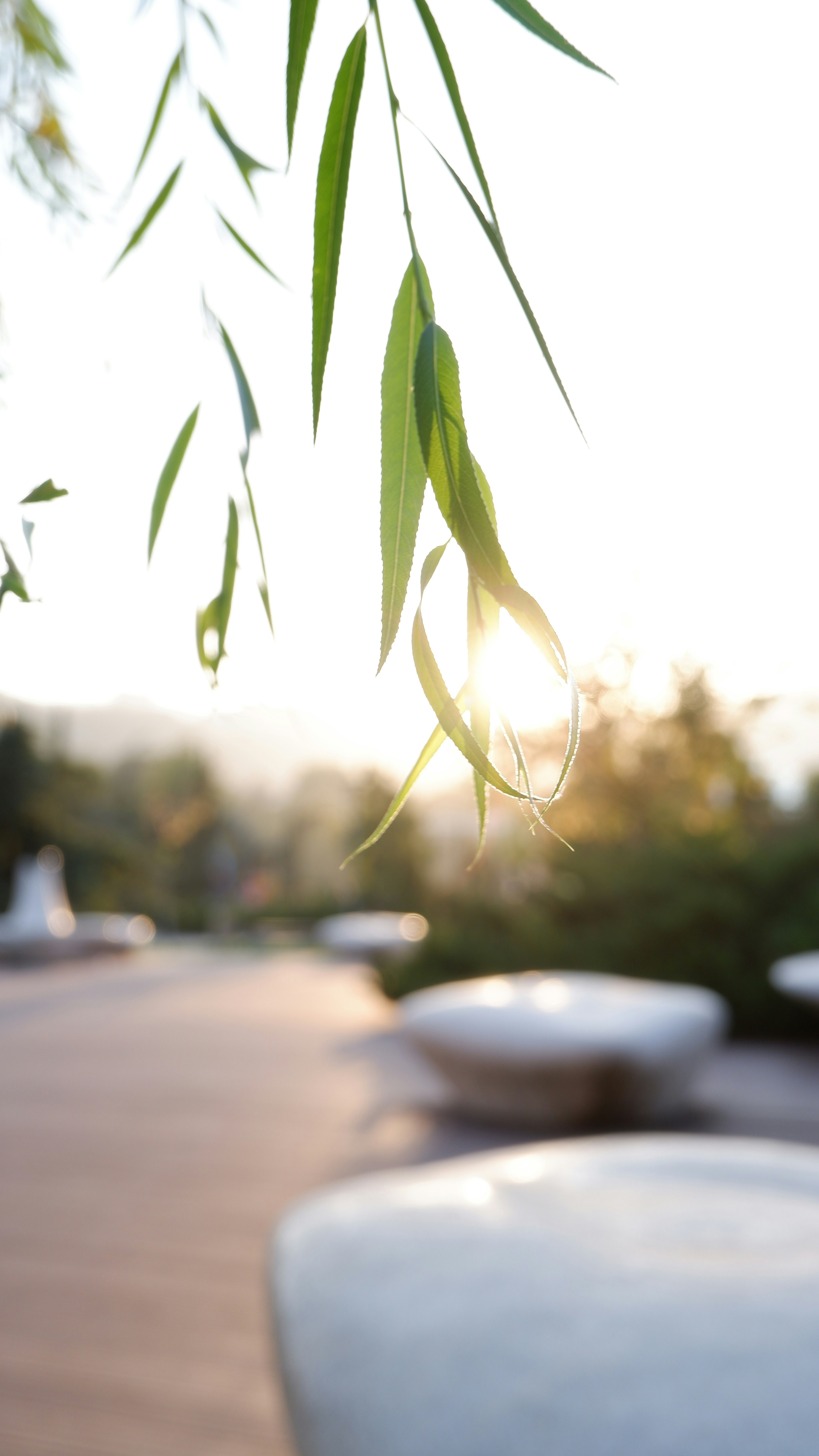 Photo by iliko_photography