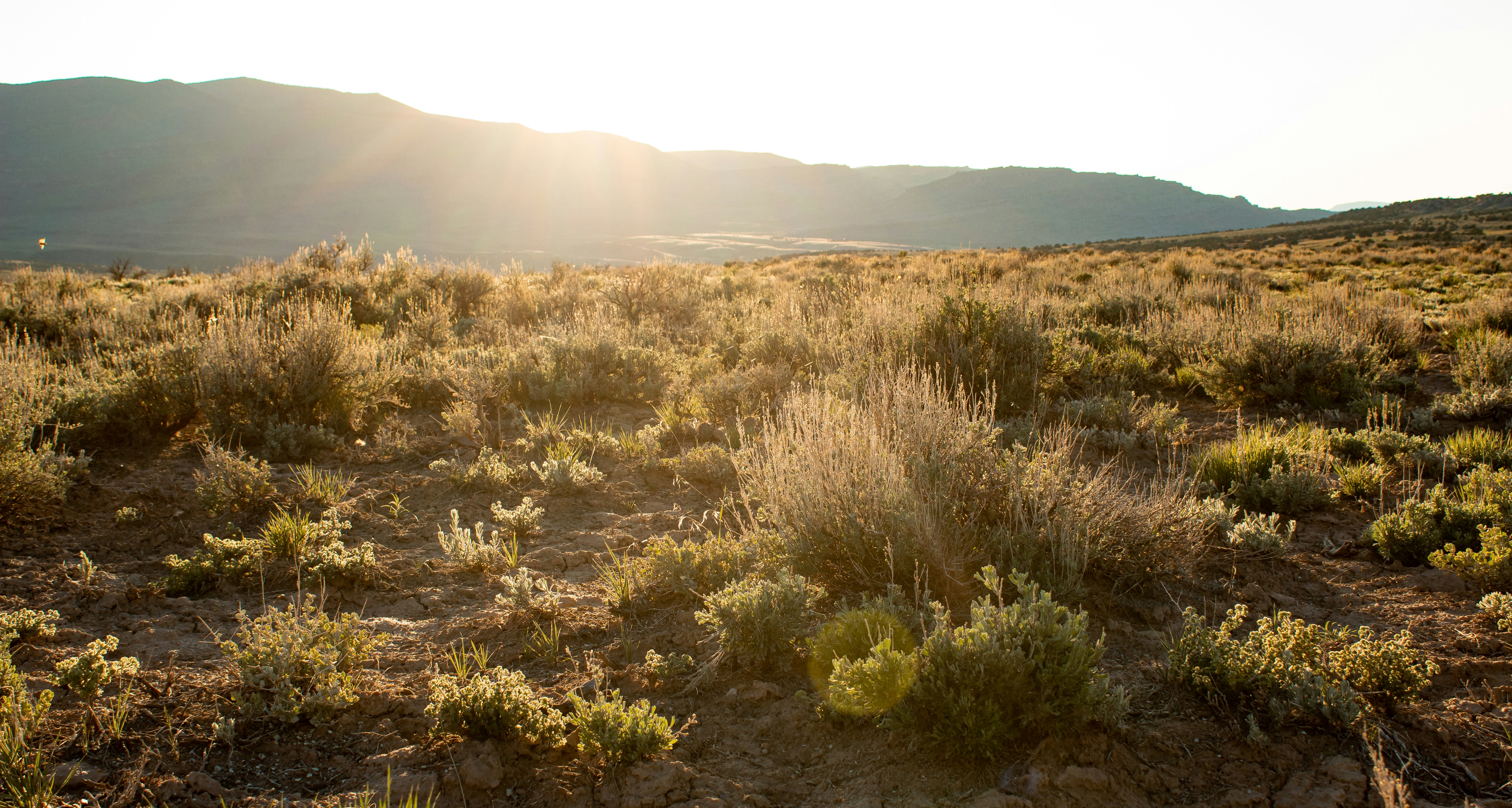 Photo by backroadpackers