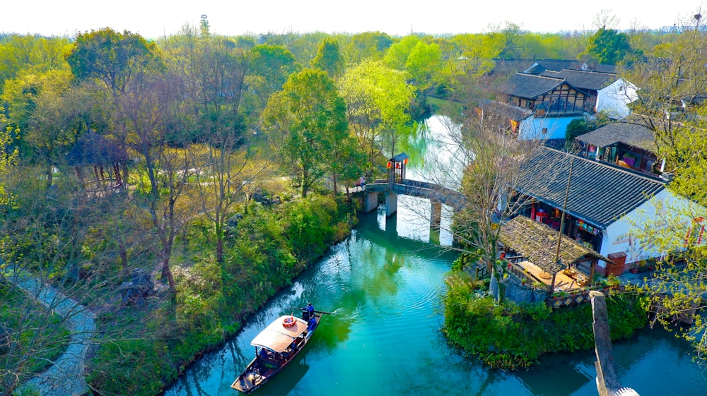 green river between green trees during daytime