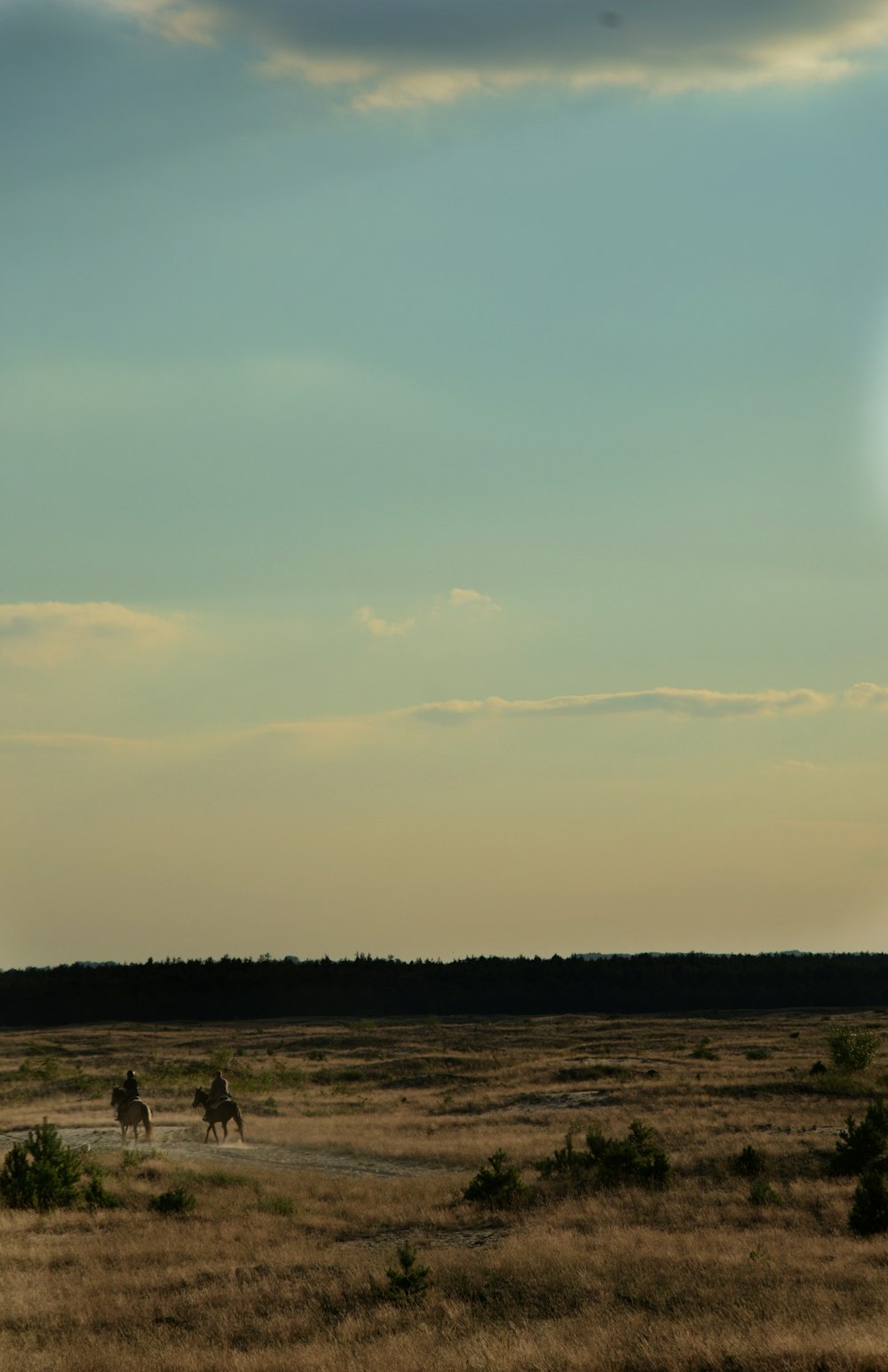 silhouette of people standing on field during daytime