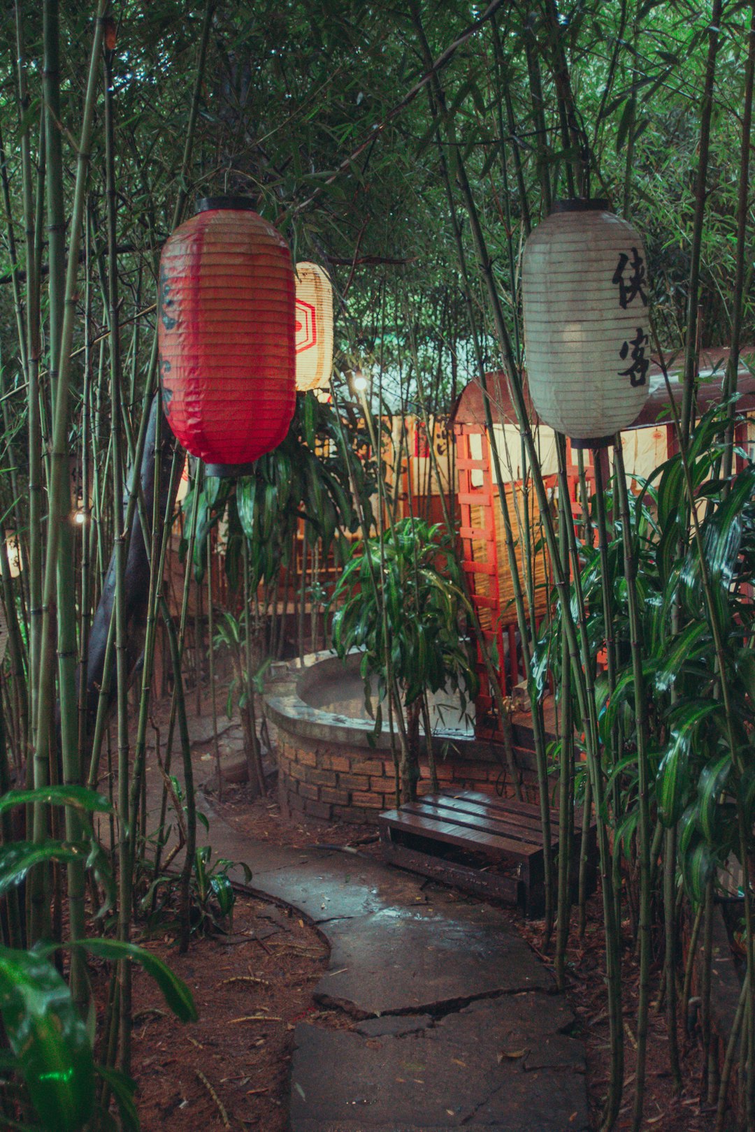 red paper lantern near green plants